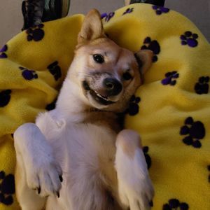 Meet your Posher, Renee